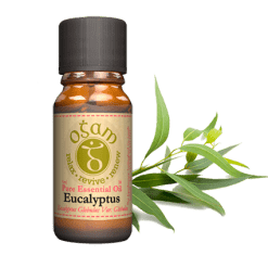 Eucalyptus Oil 10ml