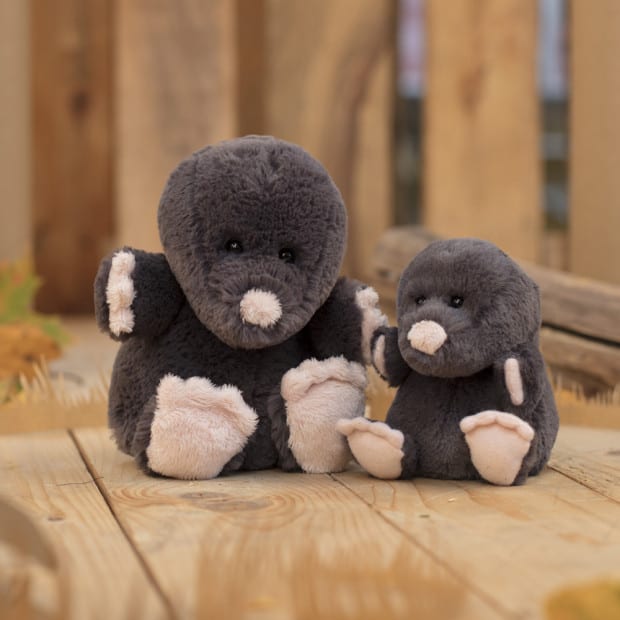 mole teddy