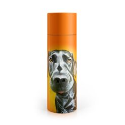 Eoin O'Connor Mutz Water Bottle - Mr. Lover