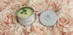 Melt Your Day Away Crystal Infused Soy Candle Aventurine